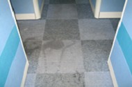 ݱݱ˾ݺñ˾݌(zhun)I(y)˾  W(wng)ַhttp://www.5zxs.com/
